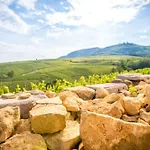 Relais Du Vigneron - Jean-luc Et Bruno Meyer Bed & Breakfast Eguisheim