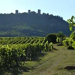 Bed & Breakfast Relais Du Vigneron - Jean-luc Et Bruno Meyer 4*