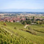 Relais Du Vigneron - Jean-luc Et Bruno Meyer 4* Eguisheim