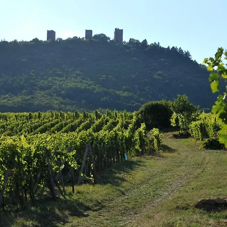 Bed & Breakfast Relais Du Vigneron - Jean-luc Et Bruno Meyer 4*