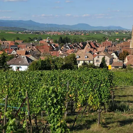 Relais Du Vigneron - Jean-luc Et Bruno Meyer 4*