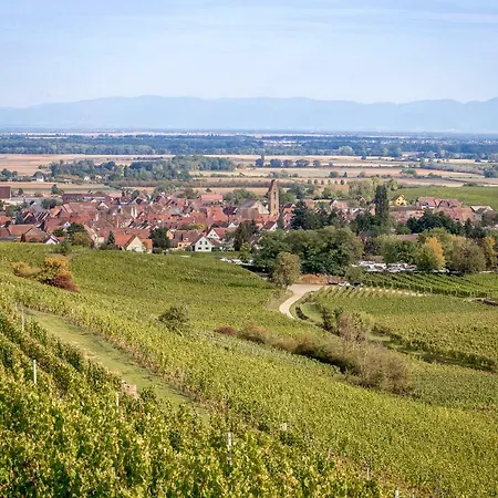 Relais Du Vigneron - Jean-luc Et Bruno Meyer 4* 埃圭斯海姆