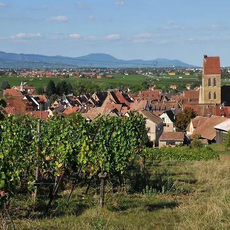 Relais Du Vigneron - Jean-luc Et Bruno Meyer 住宿加早餐酒店 4*
