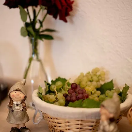 Relais Du Vigneron - Jean-luc Et Bruno Meyer 4* Eguisheim