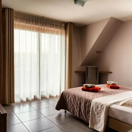 Relais Du Vigneron - Jean-luc Et Bruno Meyer Eguisheim