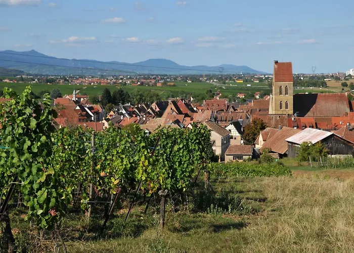Relais Du Vigneron - Jean-luc Et Bruno Meyer Nocleg ze śniadaniem 4*
